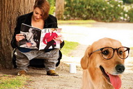 chiens
